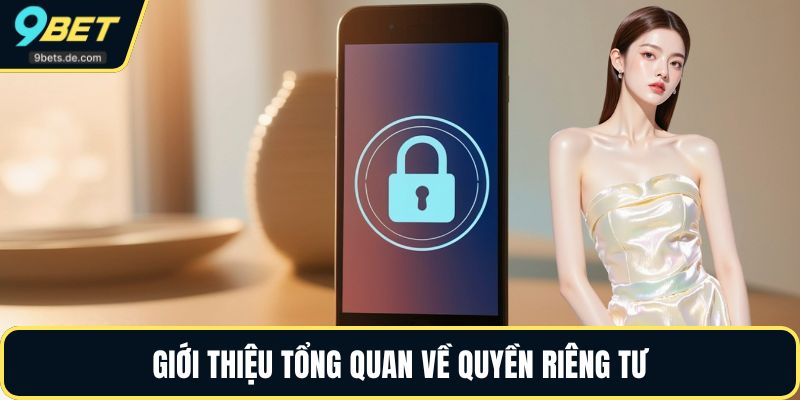 Giới thiệu tổng quan về quyền riêng tư 